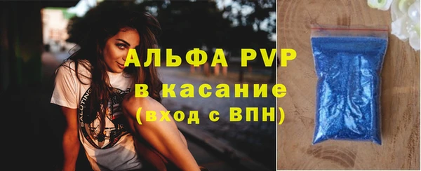 СК Алексин