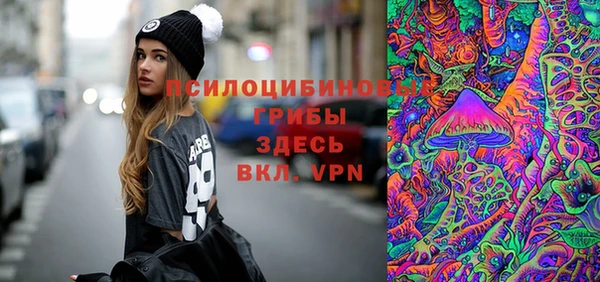 СК Алексин