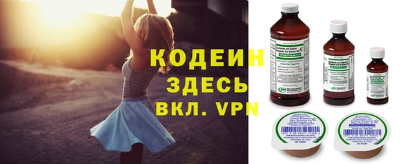 хмурый Алексеевка