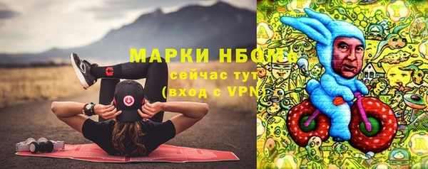 СК Алексин