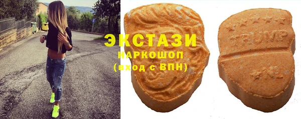 СК Алексин