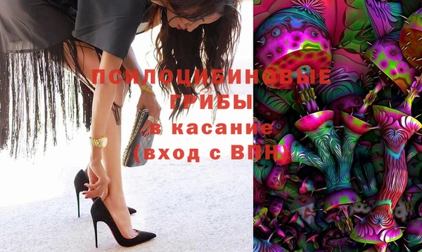хмурый Алексеевка